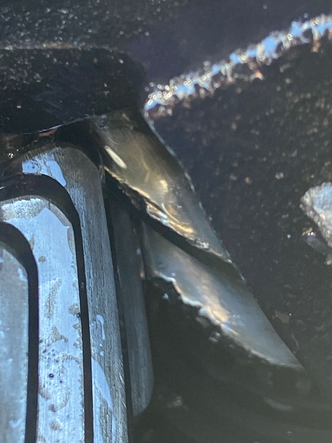 Close-up view of a dark metallic object with shiny, curved, and layered parts; potentially part of a machine or mechanism.