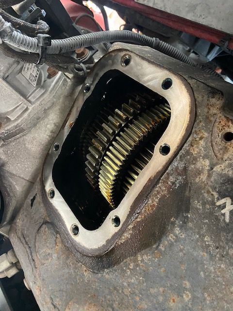 Open gearbox showing internal gears with oil.