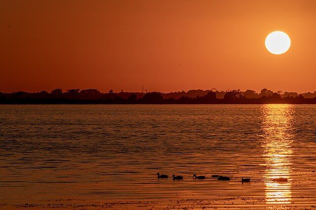 Tramonto su acque calme con sagome di anatre e una costa in lontananza.