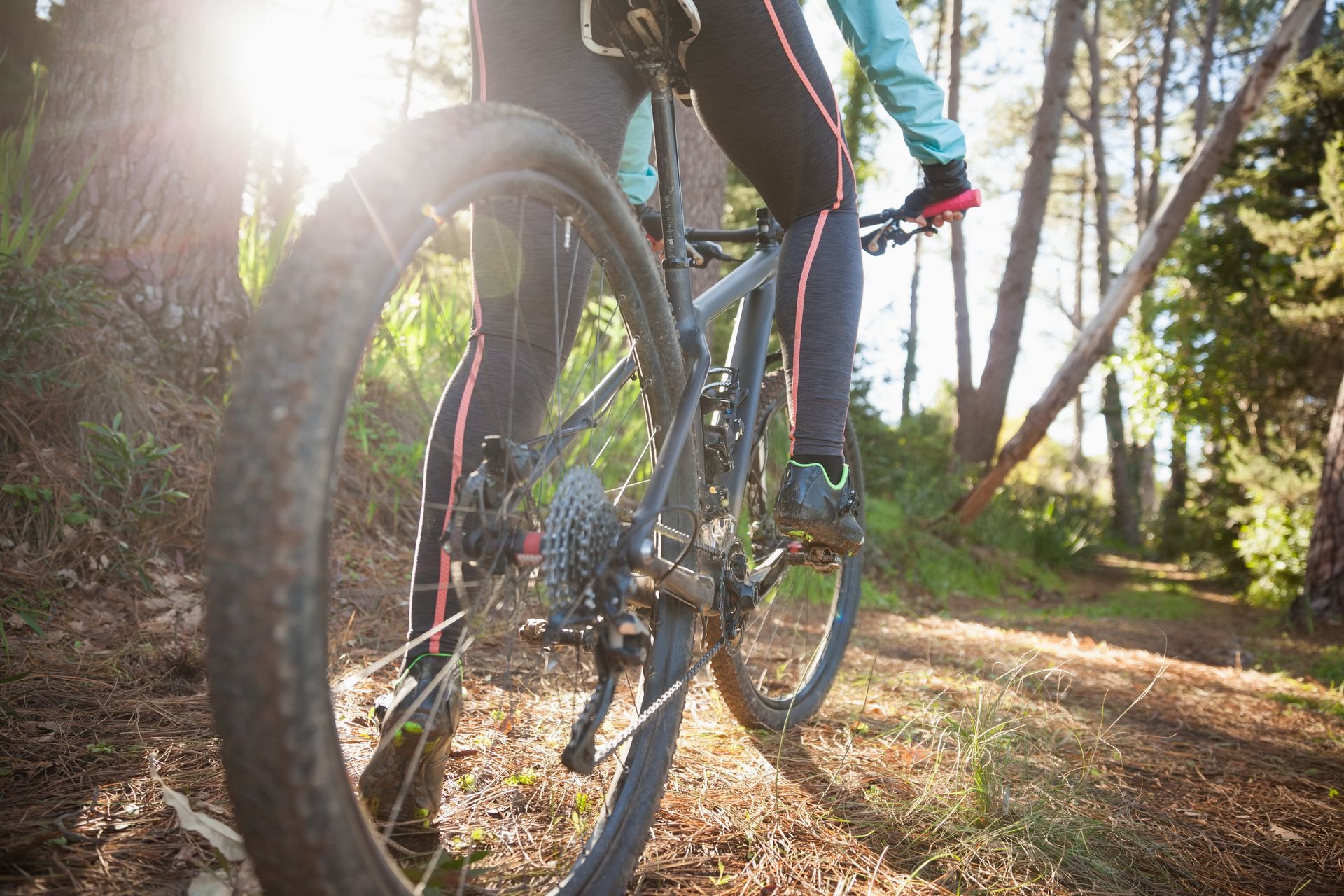 A person is riding a bike on a trail in the woods.