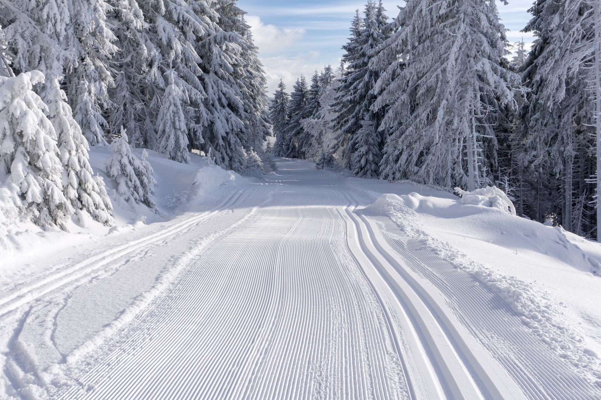 A snowy road in the woods with trees covered in snow