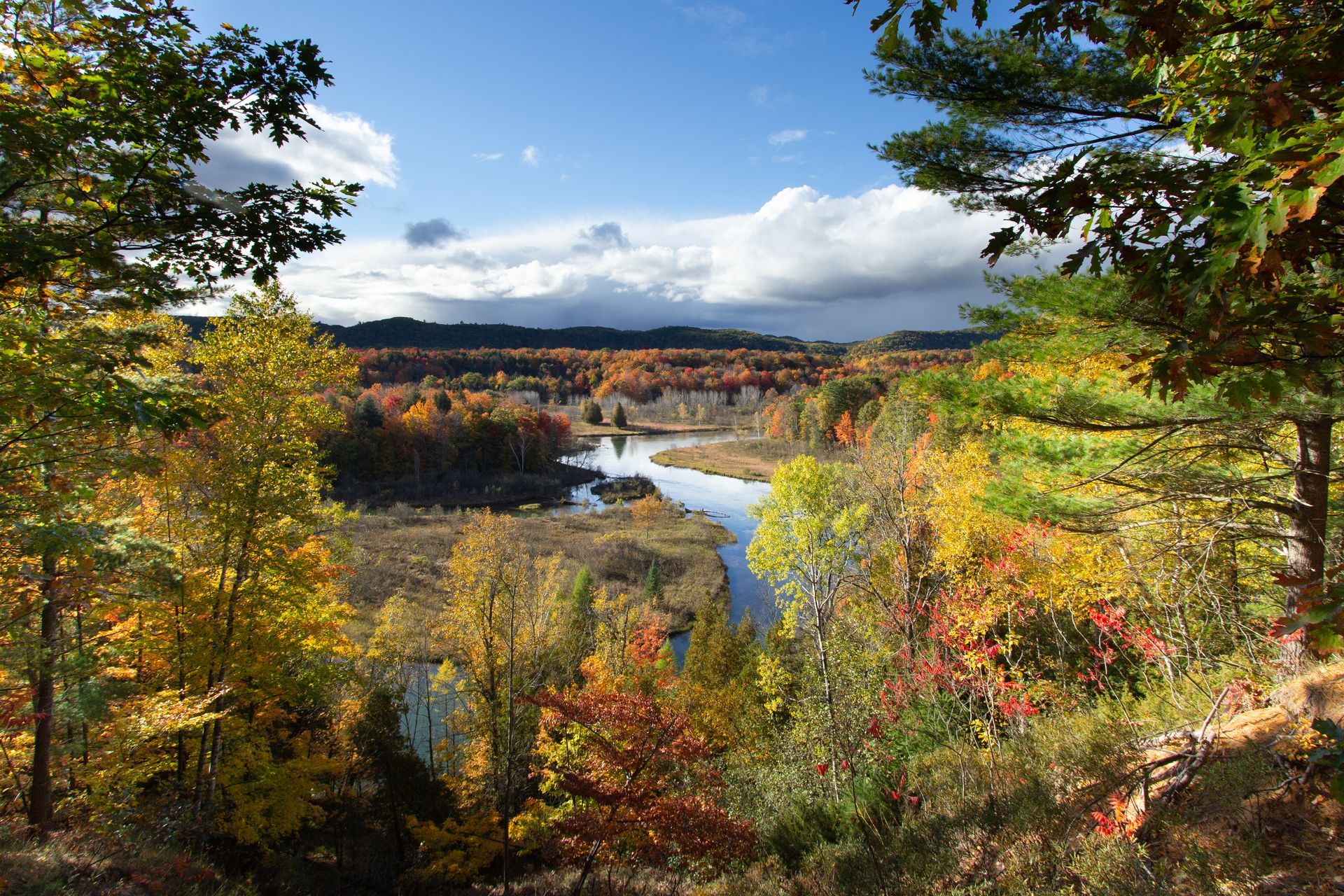 A river surrounded by trees on a sunny day