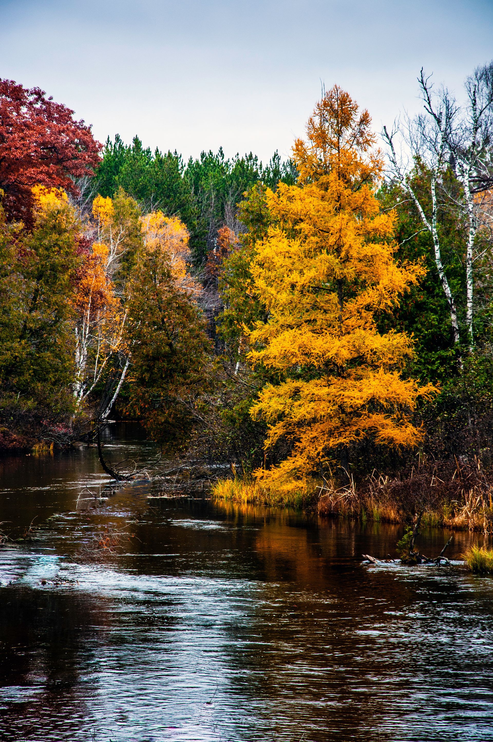A sunset over a mountain range with a lot of fog