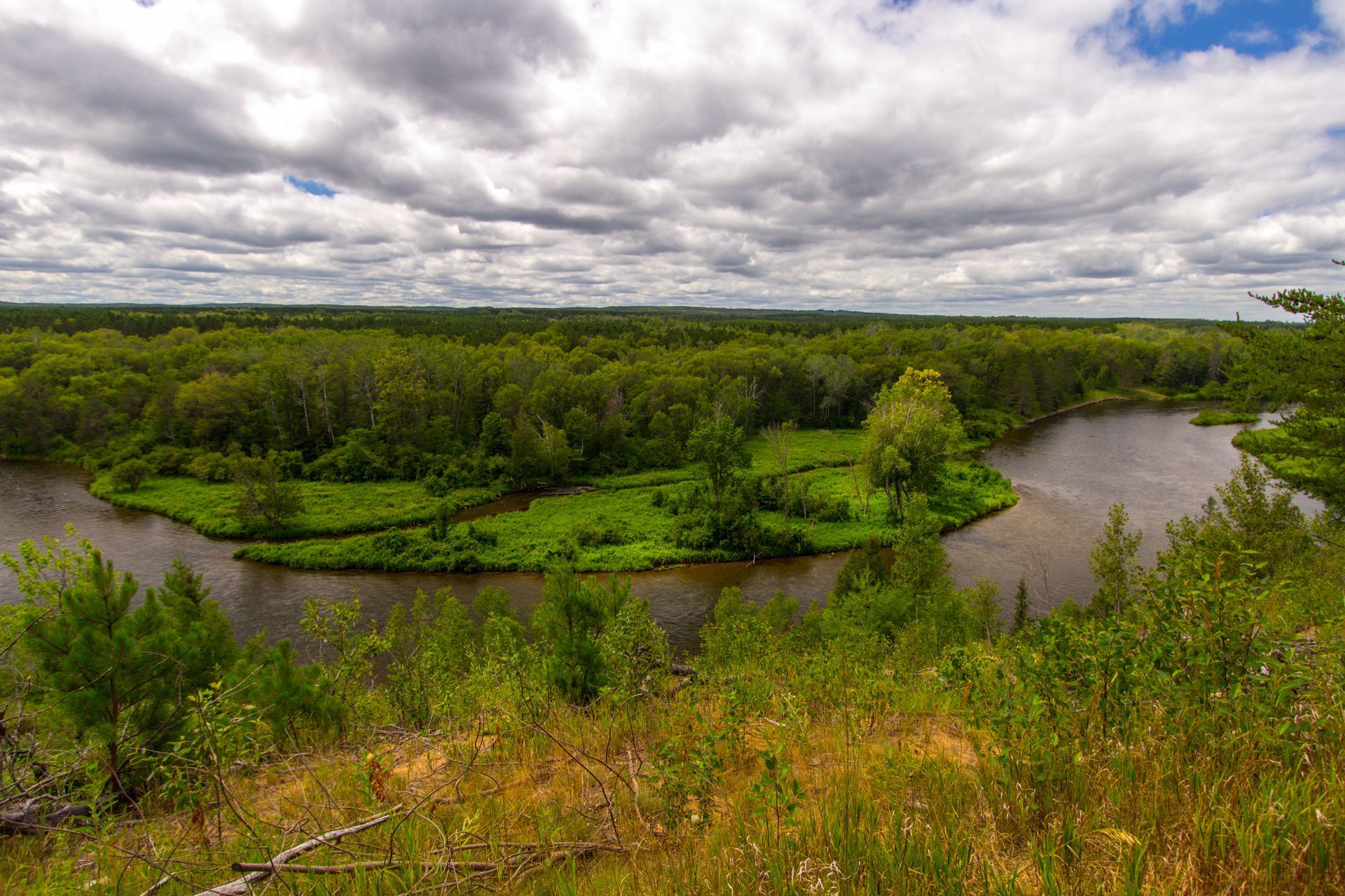 There is a small island in the middle of the river surrounded by trees.