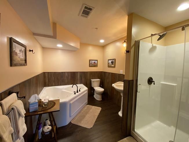 A bathroom with a tub , toilet , sink and shower.