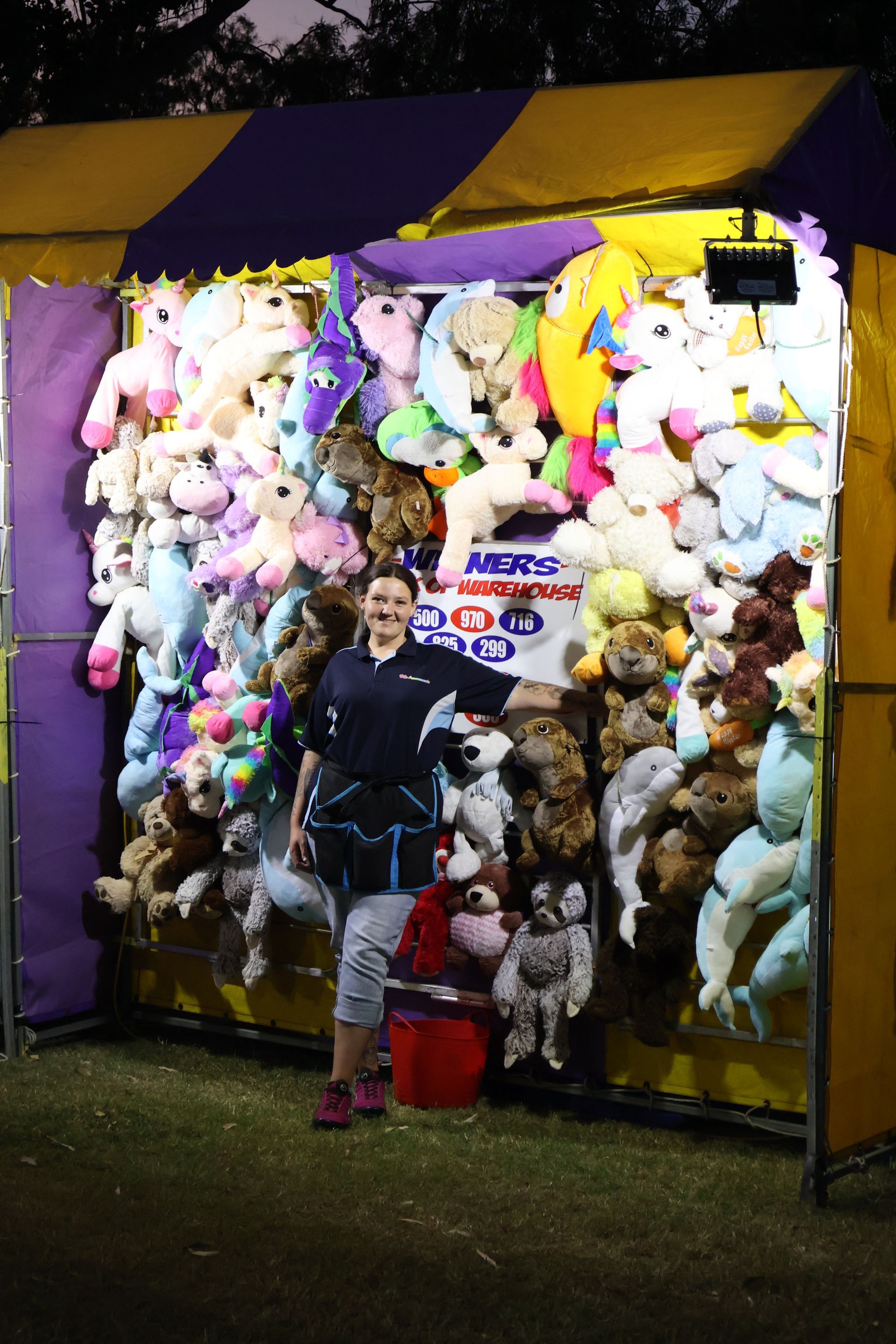 Lucky Ticket Game — Bills Amusements In Rockhampton, QLD