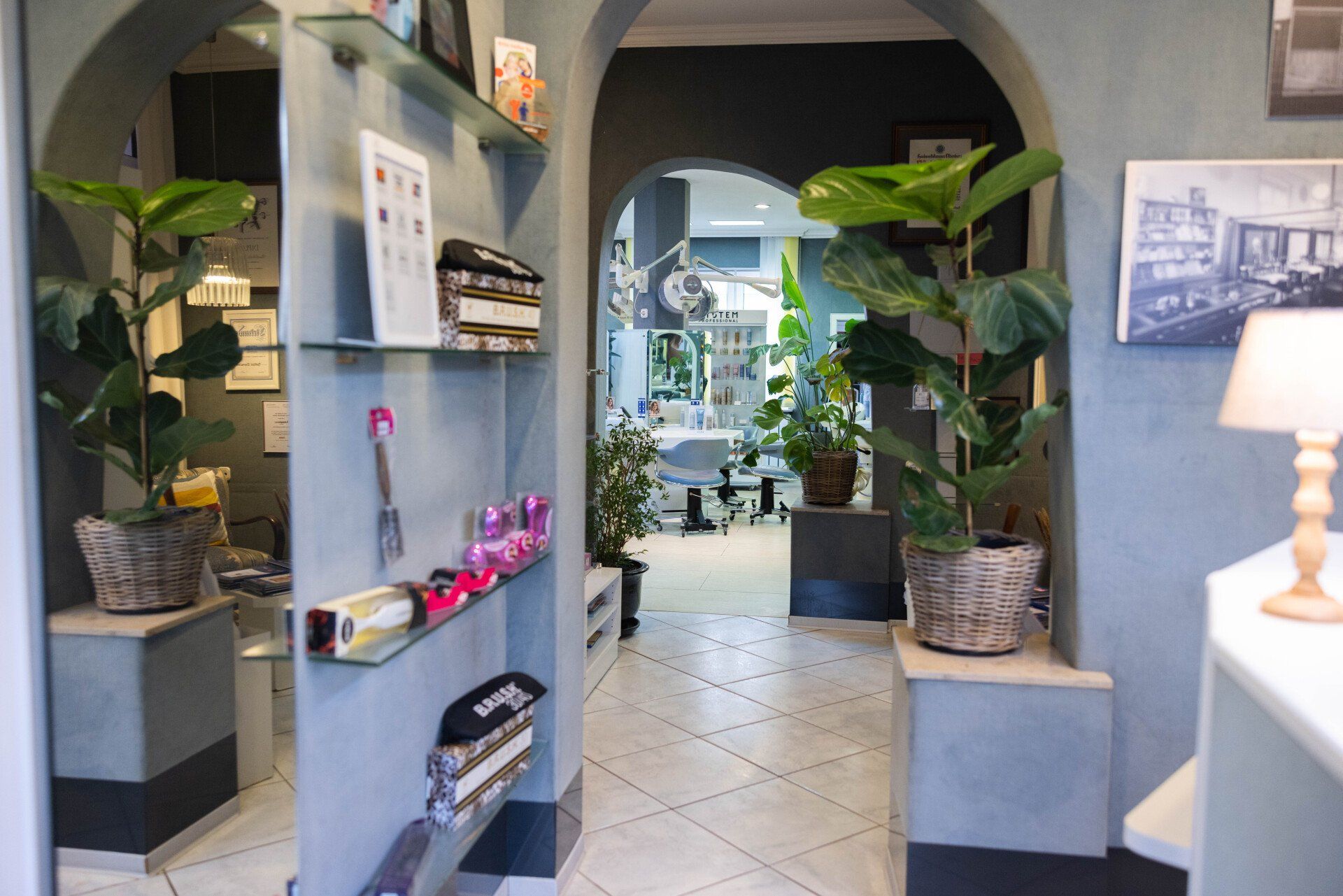 Innenansicht eines Ladens mit Torbögen, Pflanzen, Regalen und gefliestem Boden.
