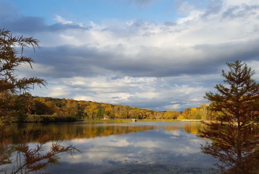 A serene lake reflects the cloudy sky and autumn forest on the horizon.