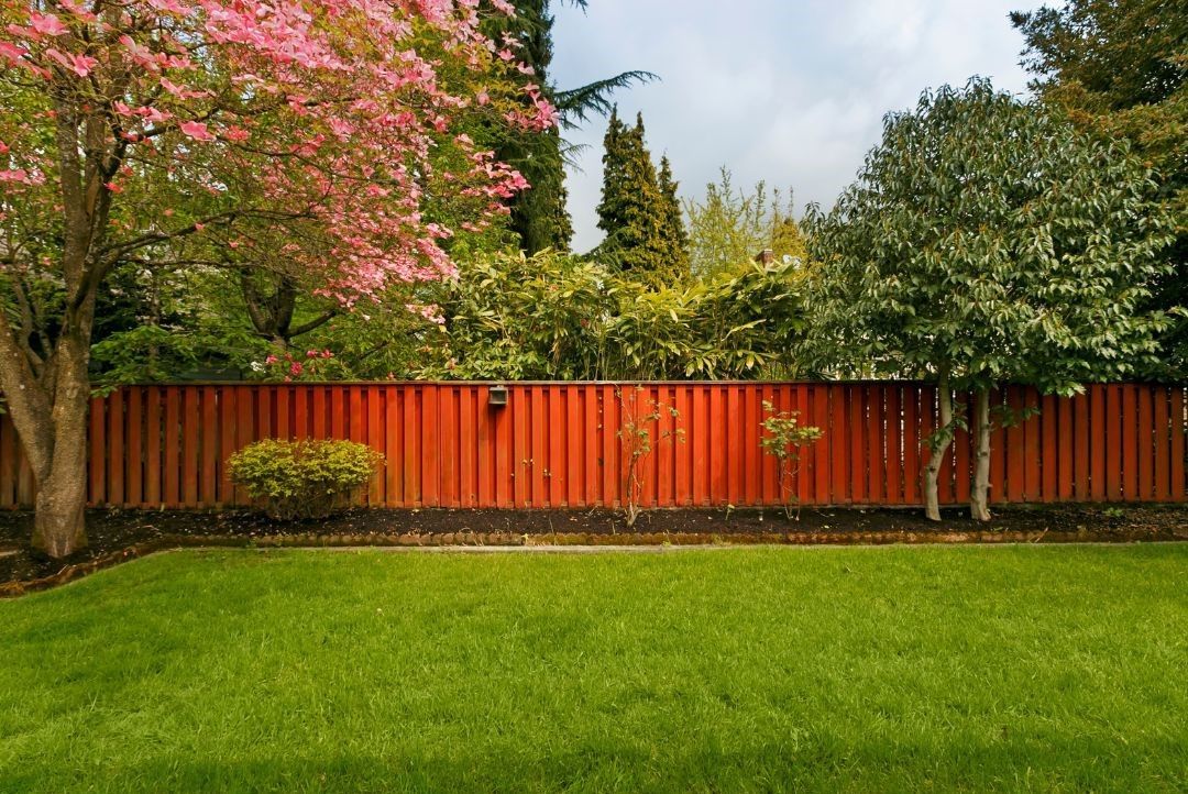 A lush green yard with a red fence and trees in the background.