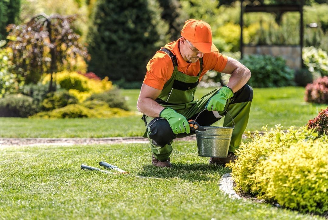 A man is kneeling down in a garden holding a bucket.
