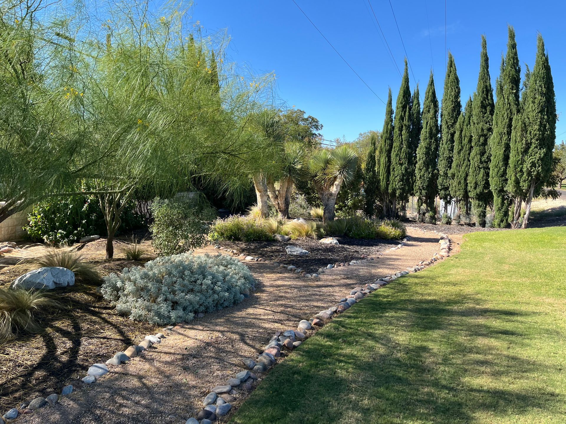 Pathway with landscaping, including trees, plants, and a row of tall, thin evergreen trees under a bright blue sky.