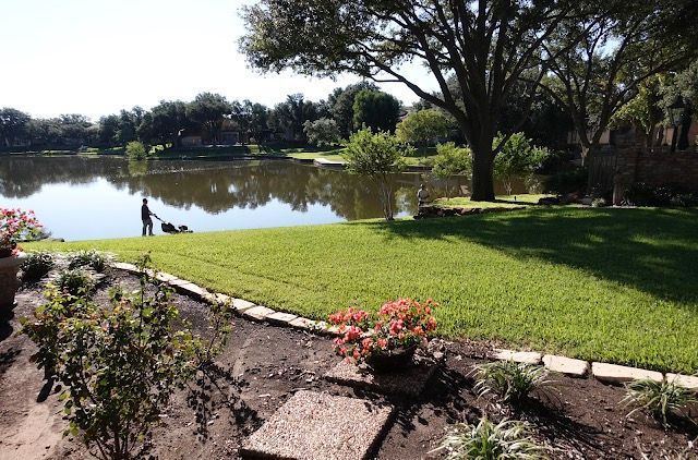 Lakeside view with green grass, water, and trees under a sunny sky. A person with two dogs is near the water's edge.