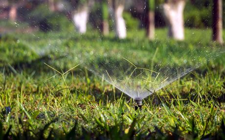 Sprinkler watering green grass in a yard with trees in the background.
