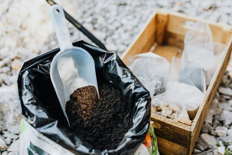 Black bag filled with dark soil, a white scoop inside. Wooden crate nearby with bagged items.