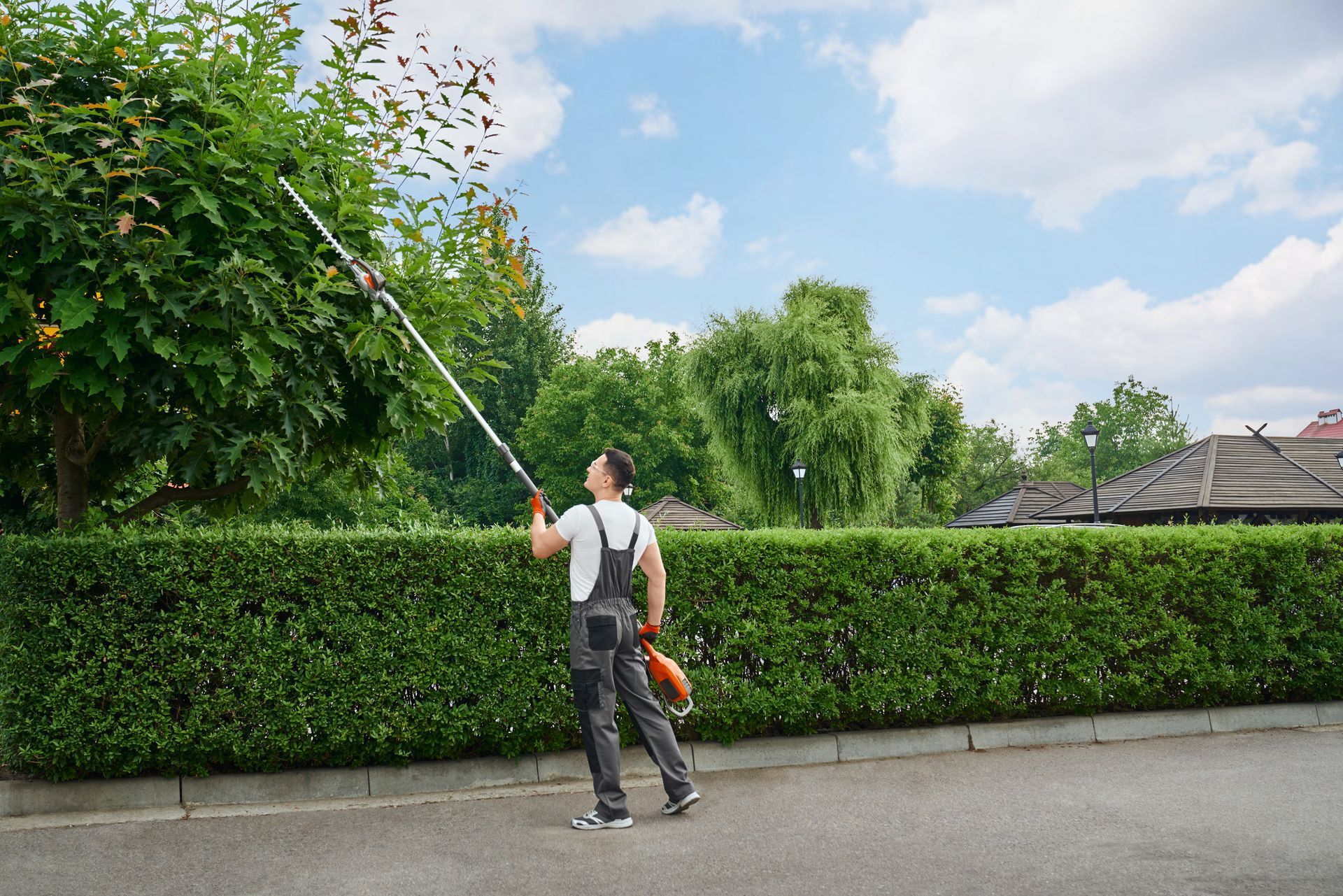 A person trims a hedge with a long pole trimmer outside on a sunny day.