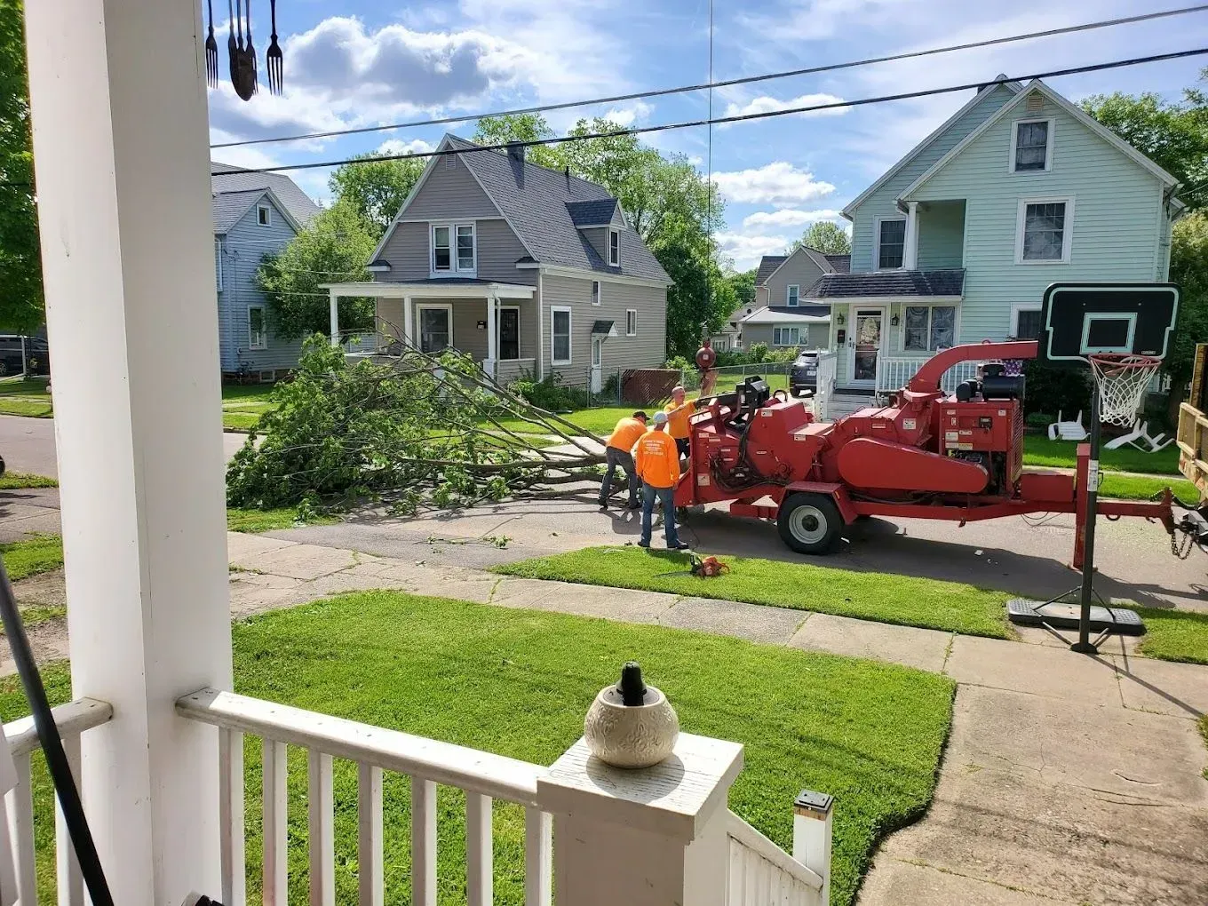 TREE SERVICE