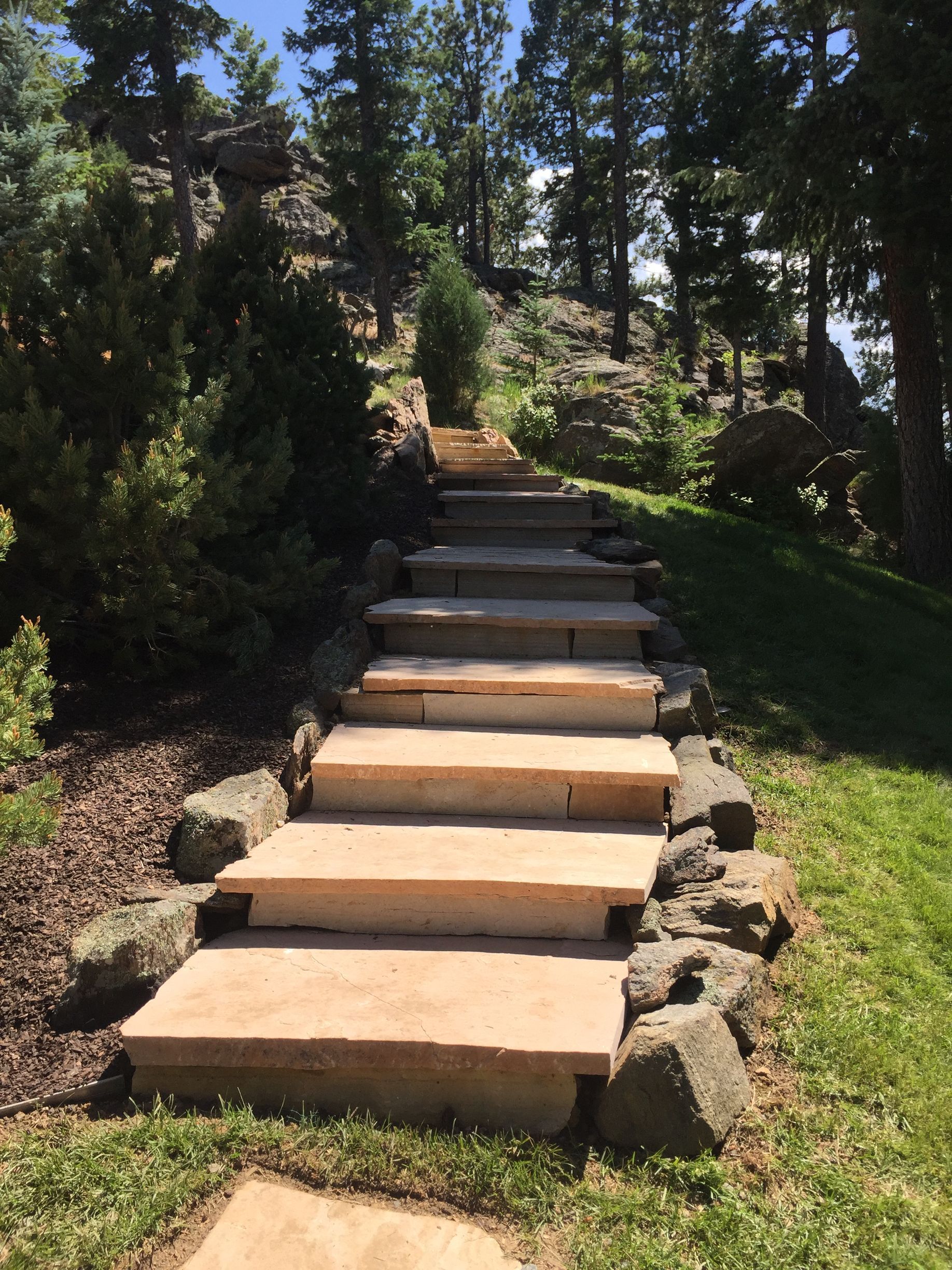 A set of stairs leading up to a lush green hillside surrounded by trees.