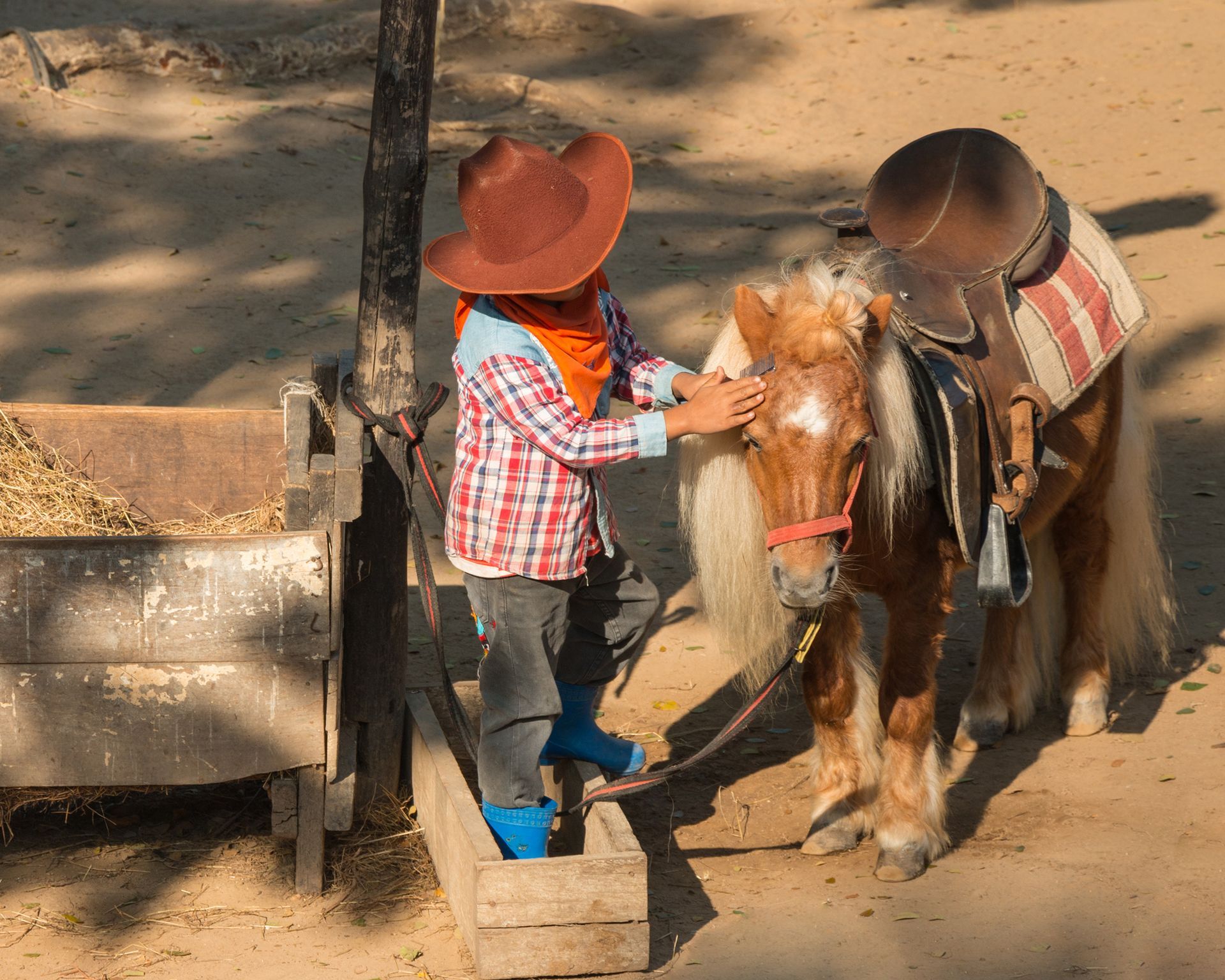 Child in cowboy hat petting a pony with a saddle near a wooden trough.