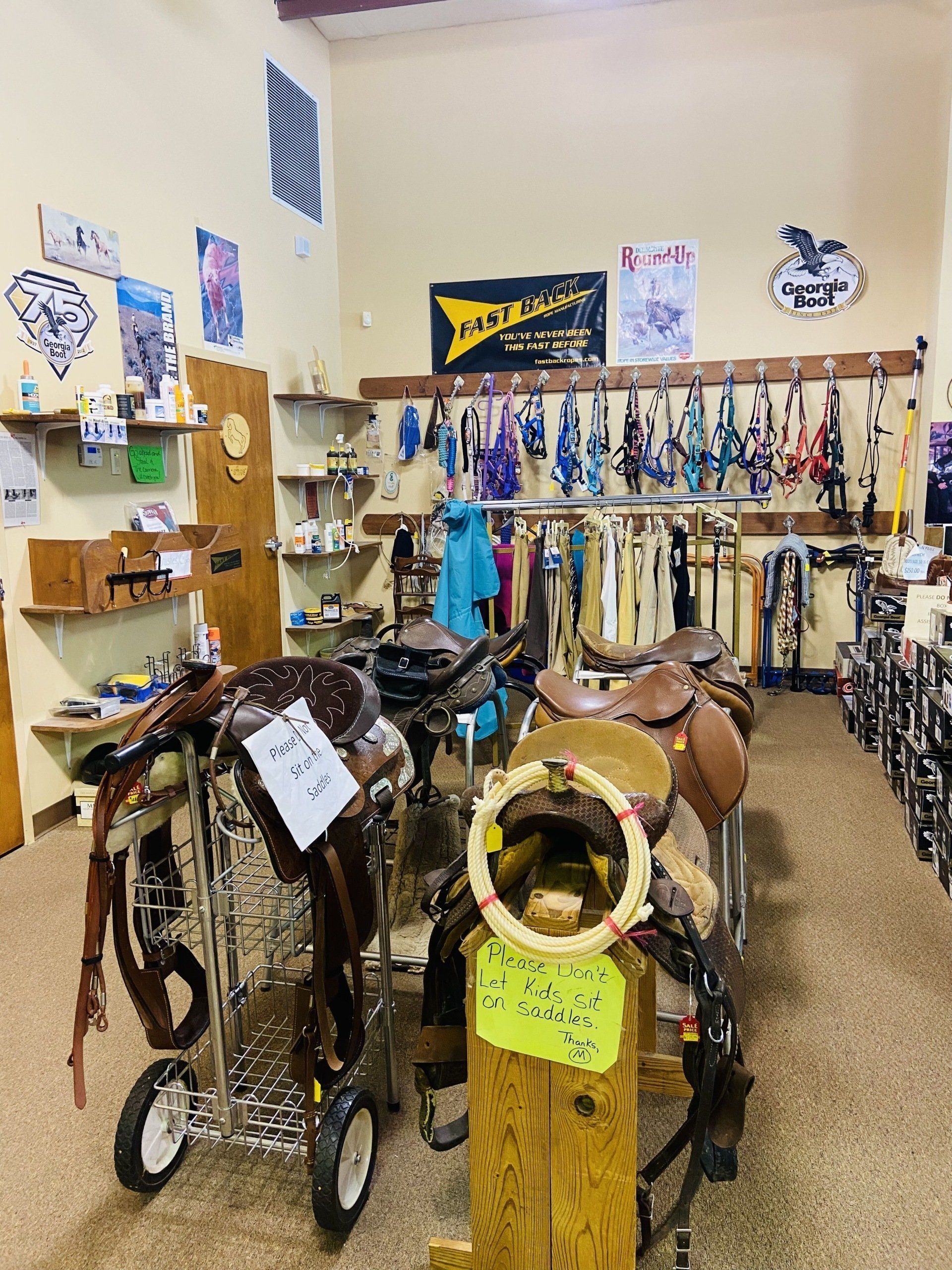 Inside a tack shop, several saddles on wheeled stands and hanging displays of equestrian equipment.