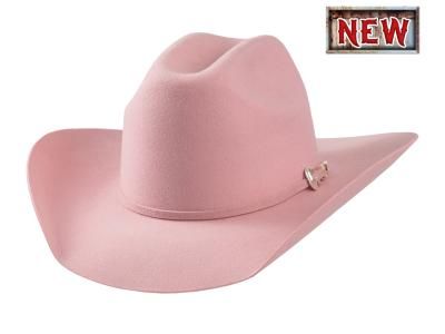 Black cowboy hat with a braided band.