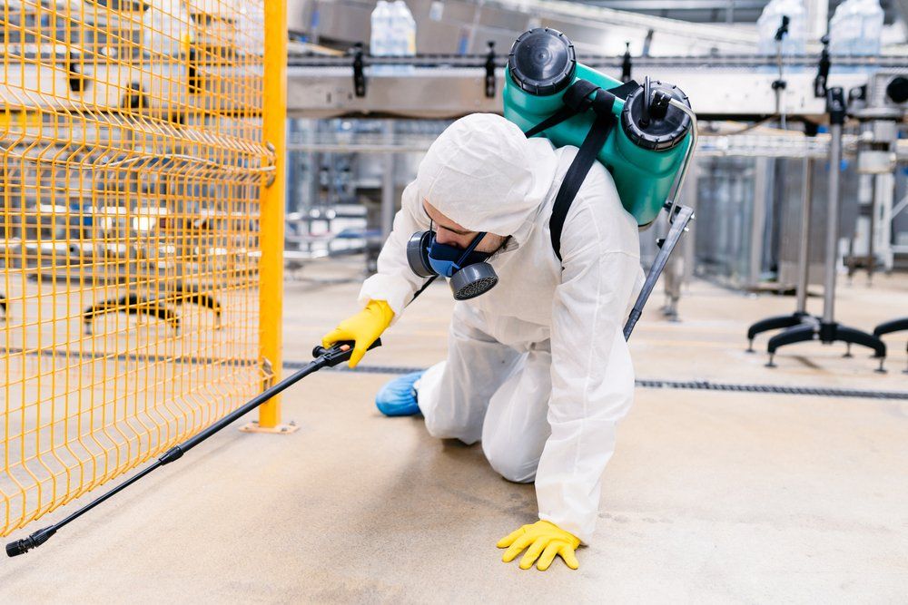 Industrial Plant Spraying Pesticide — Commercial Pest Control in Craignish, QLD