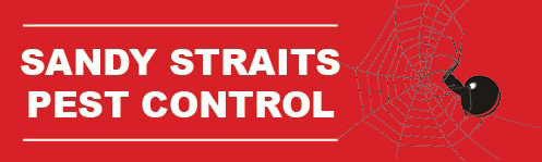 Sandy Straits Pest Control: Providing Termite & Pest Control