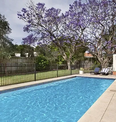 A Large Pool in a Backyard with Jacaranda Trees — Creative Pools and Spas in Mount Eliza, VIC