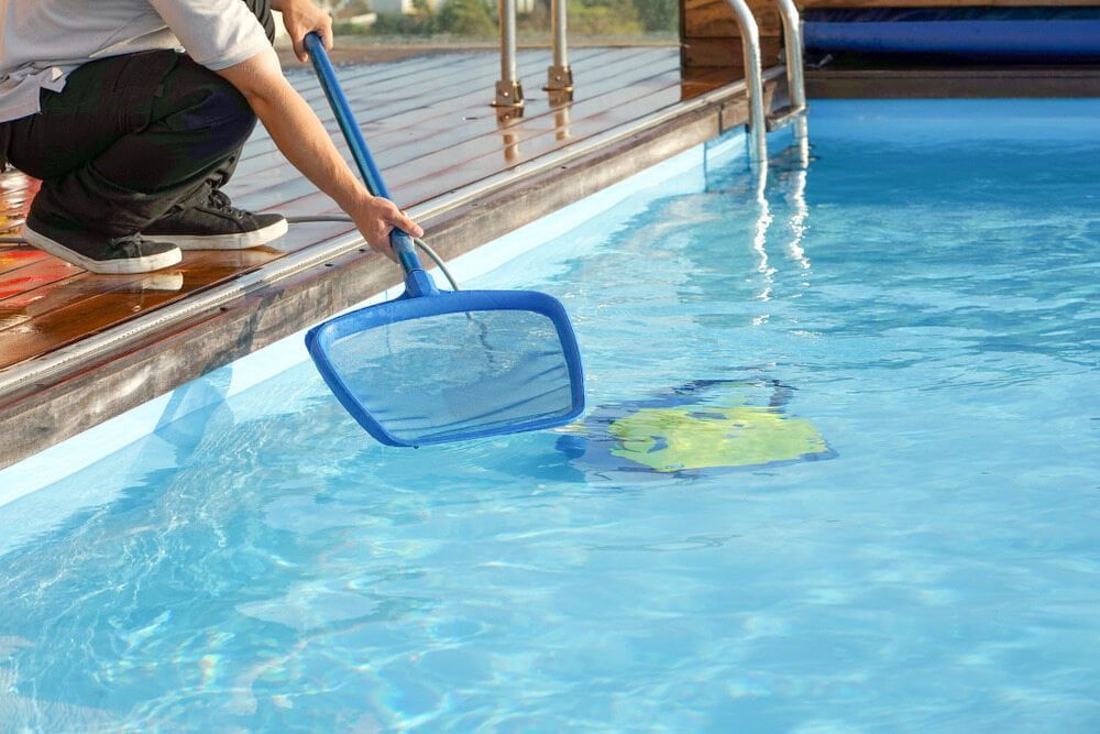 Person Using a Blue Net to Scoop a Green and Blue Device From a Swimming Pool — Creative Pools and Spas in Melbourne, VIC