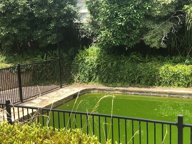 A Black Fenced-in Pond With Algae and Lush Green Foliage — Creative Pools and Spas in Mornington, VIC