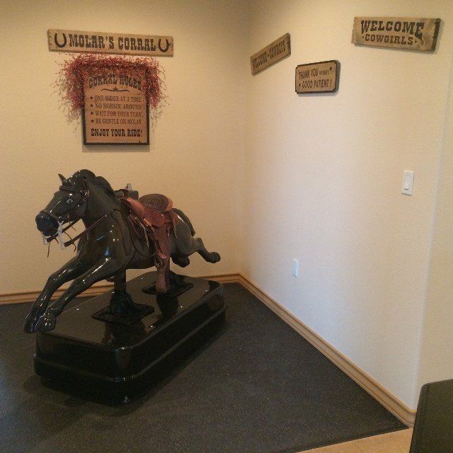 Horse Display — Specialist in Vernia, TX