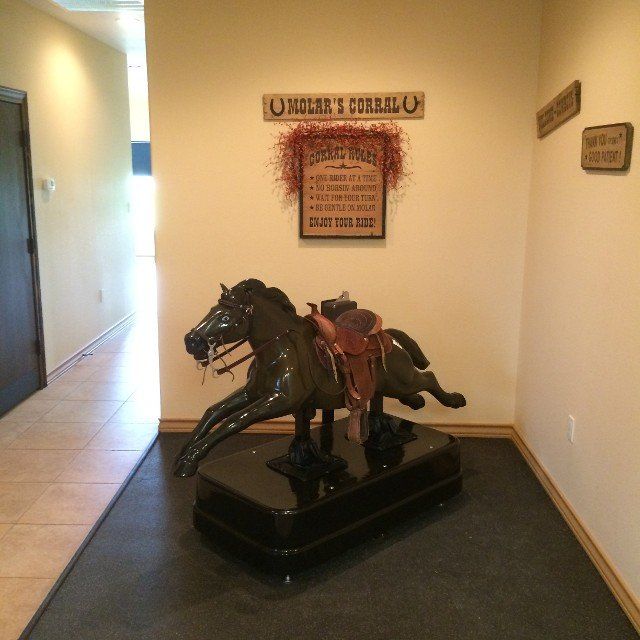 Horse — Dental Care Services in Vernia, TX