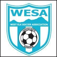 the west elk soccer association logo is a shield with a soccer ball on it .