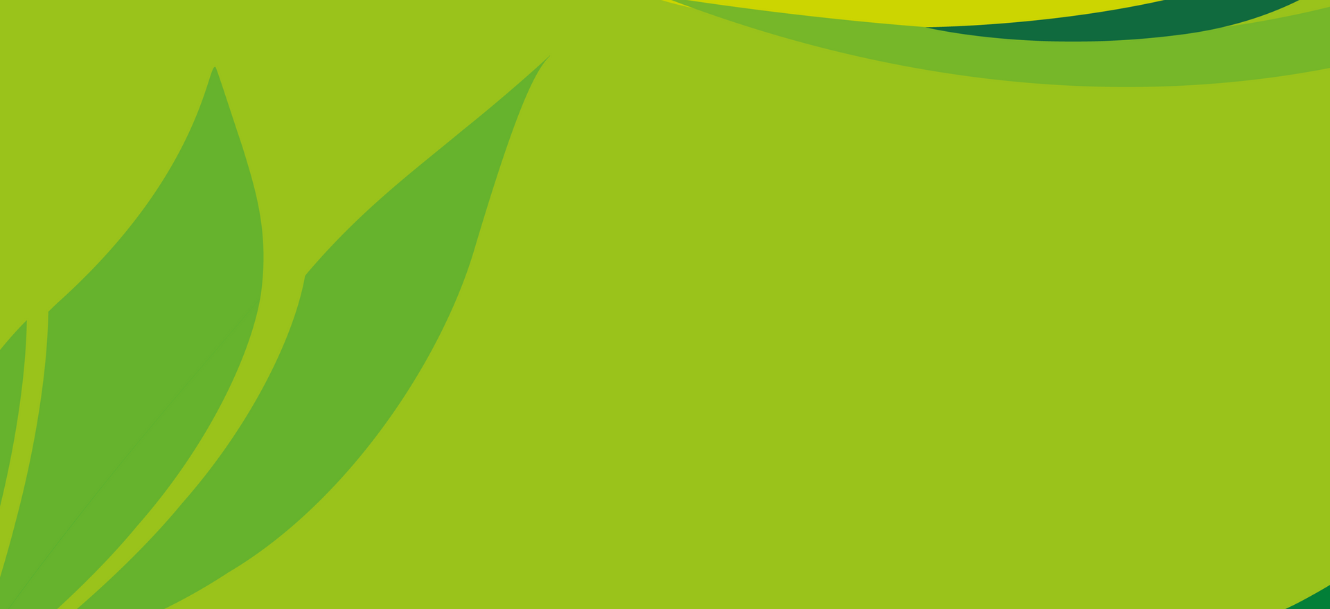 Main Background Image 1