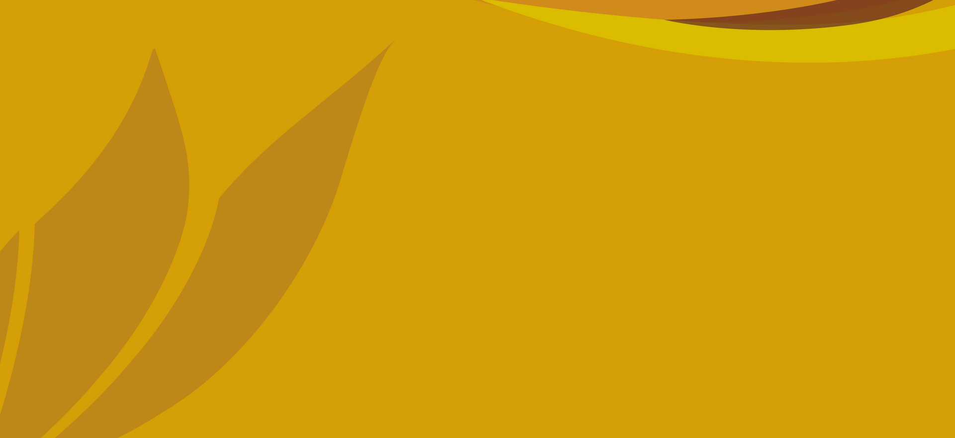 Main Background Image 3