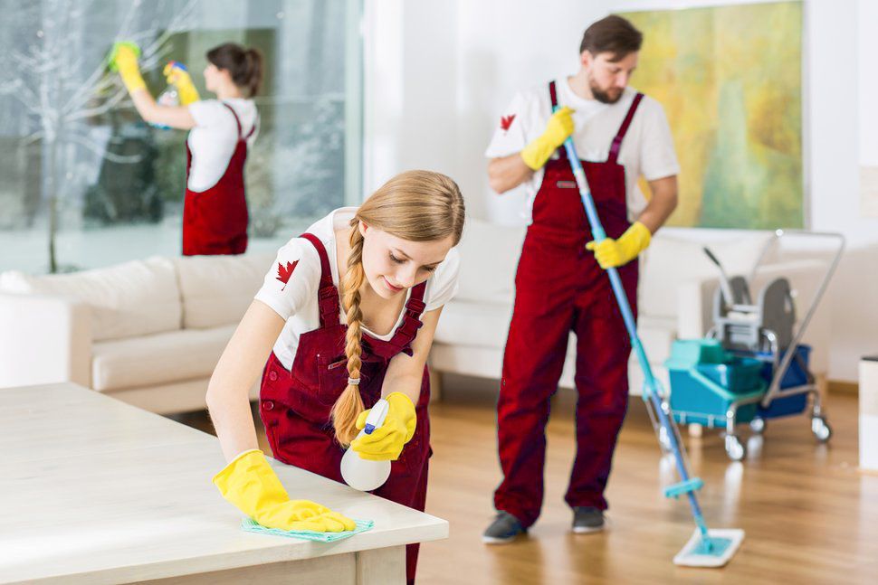 Residential and Commercial Cleaning Services