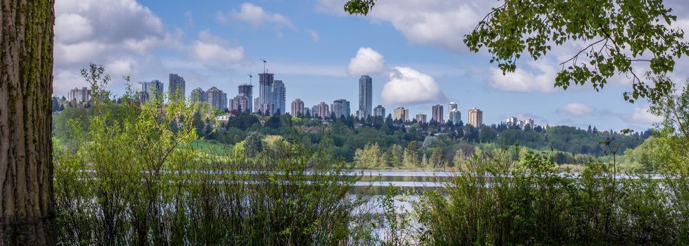 Burnaby British columbia Skyline - Moving and Furniture Delivery by 49Van