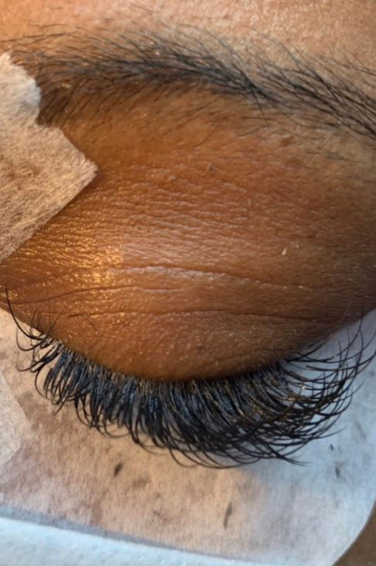 A close up of a woman 's eye with long eyelashes.| St. Louis, MO | Lashing Out Loud