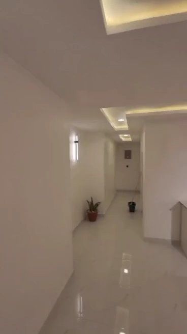 A hallway with a plant in the middle of it