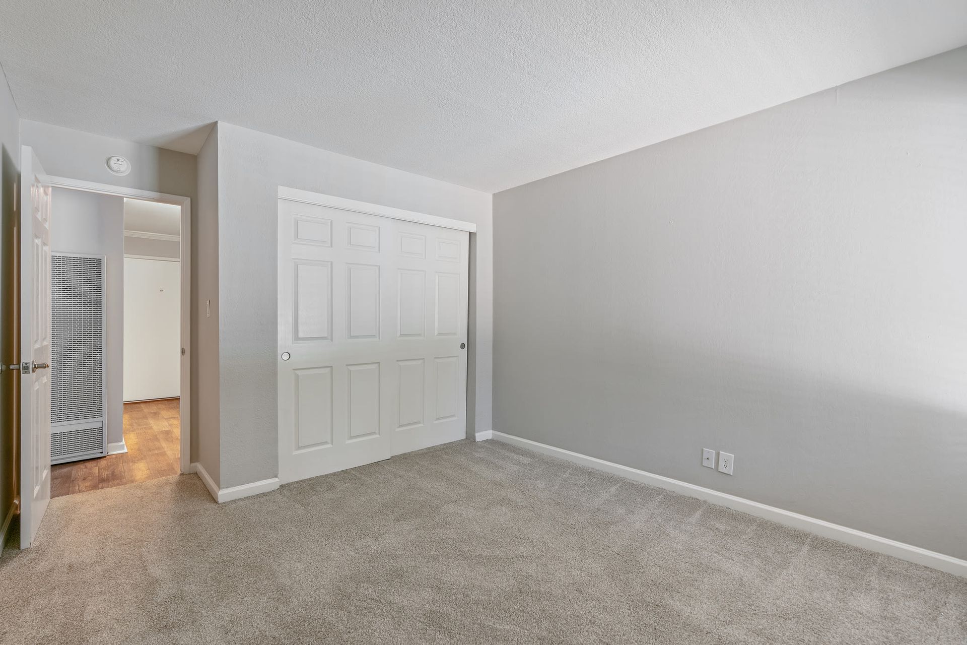 Bedroom with gray walls, beige carpet, and white sliding closet doors.