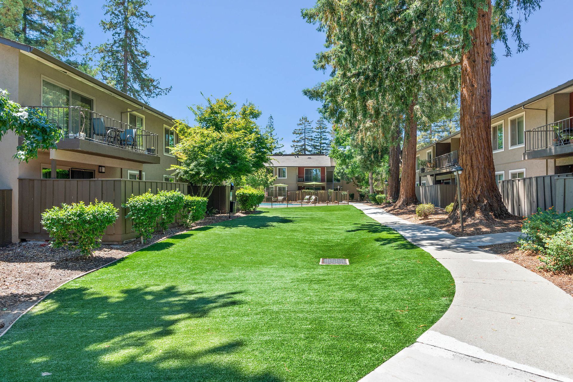 Shared apartment community courtyard with green lawn, trees, and walkway between buildings.