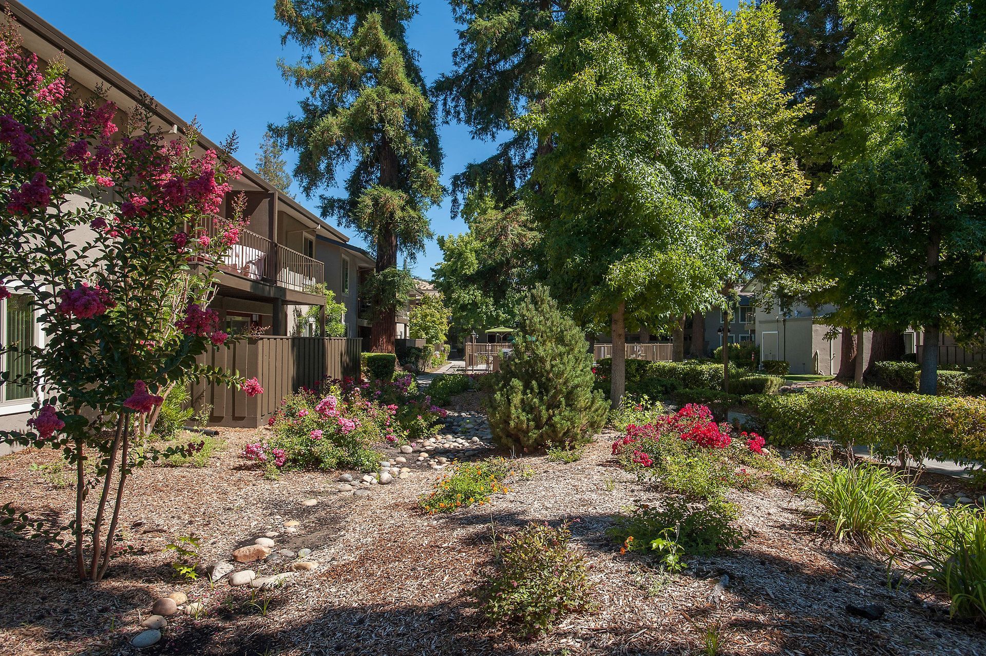 Exterior view of a landscaped apartment courtyard with trees, shrubs, and flowering plants.