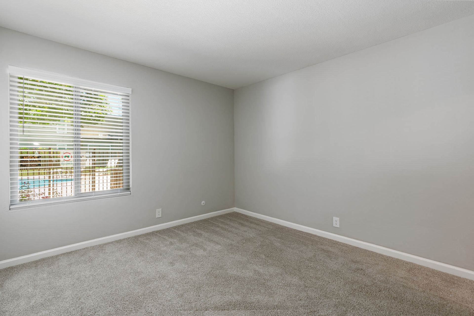 Empty carpeted room with a window and white horizontal blinds