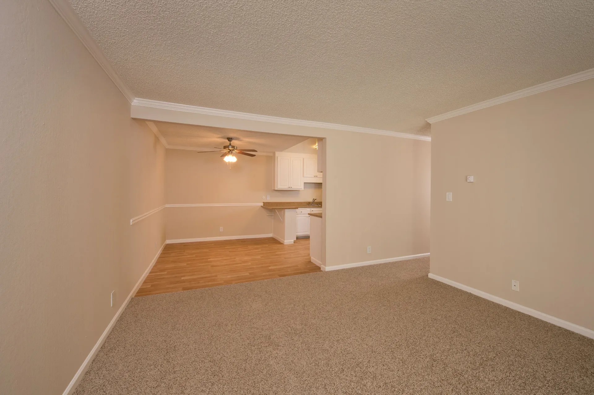 Open-concept living area with carpet, beige walls, and a small kitchen with white cabinets.