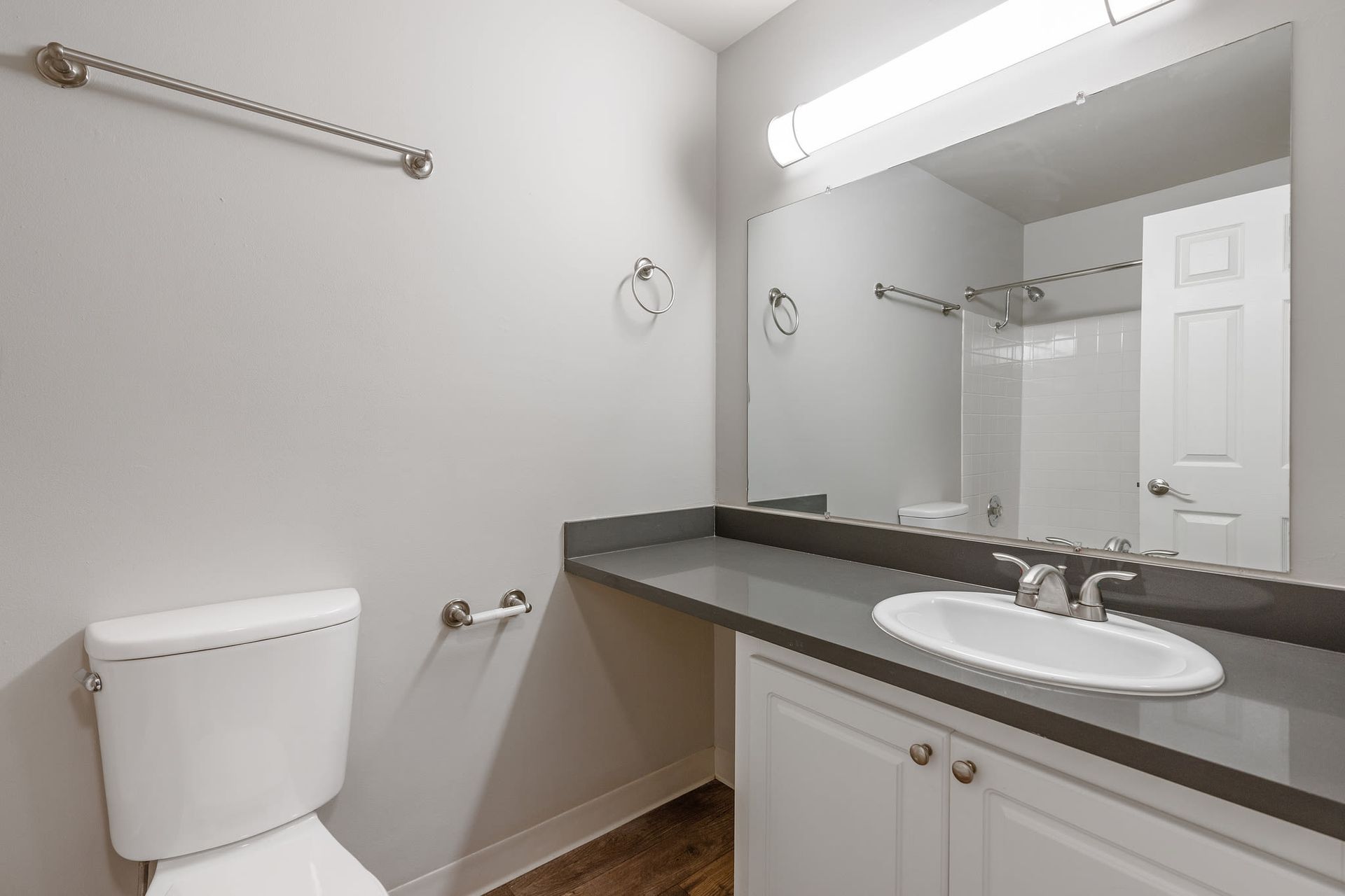 Bathroom with single-sink vanity, large mirror, toilet, towel ring, and a shower behind.