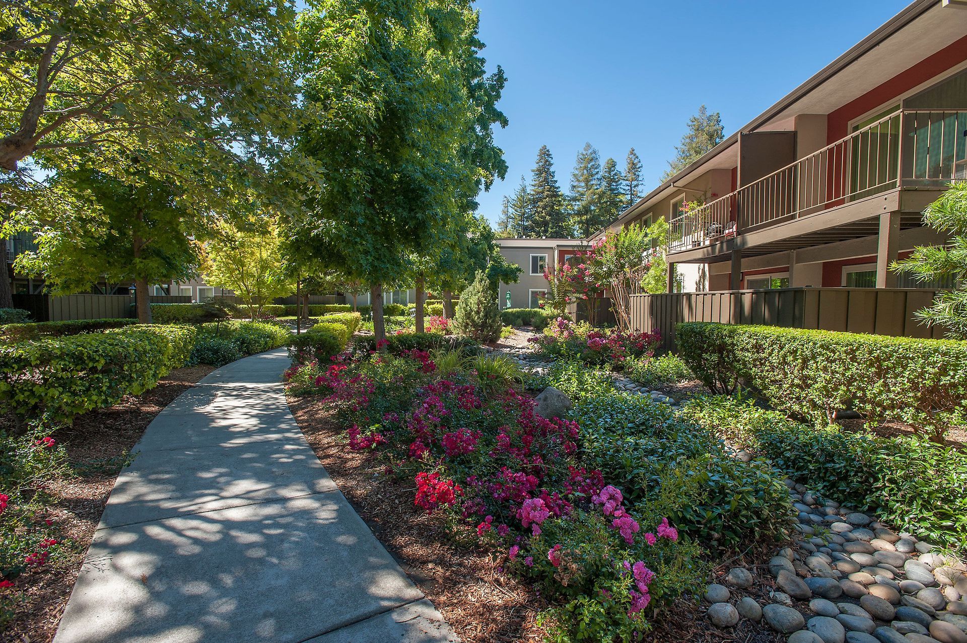 Concrete path winds through a landscaped apartment courtyard with trees, flowers, and nearby buildings.