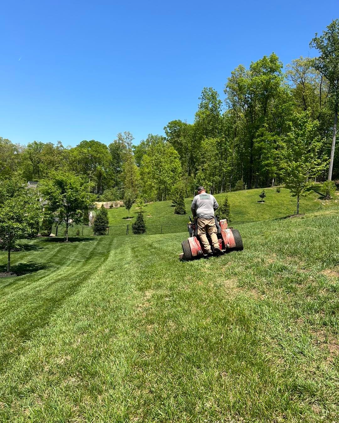 Person mowing a sloped, green lawn on a sunny day, with trees in the background.
