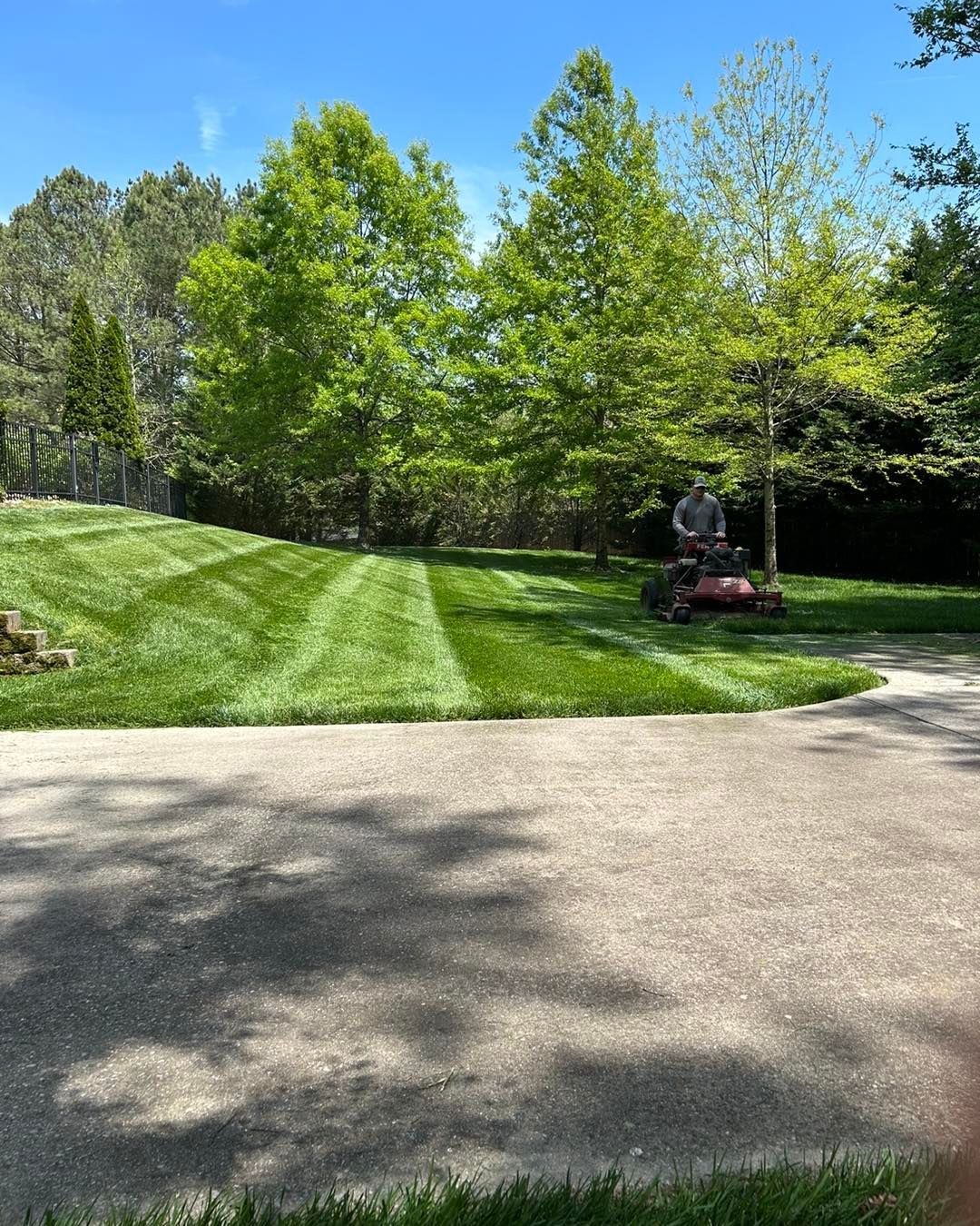 Man mowing lawn on a sunny day. Green grass, trees, and a driveway.