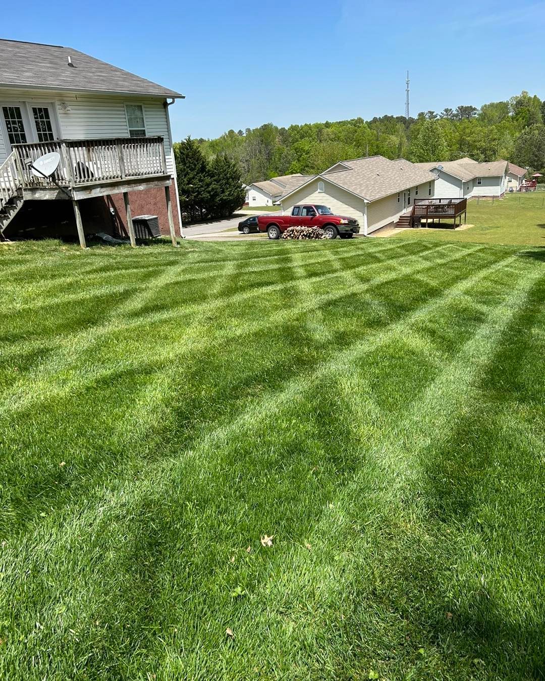 Lawn with intersecting patterns of cut grass, with houses and trees in the background on a sunny day.