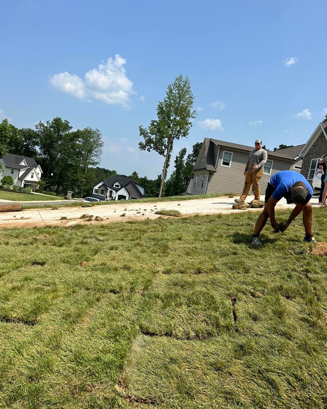 Men laying sod on a grassy lawn, houses in the background, blue sky.