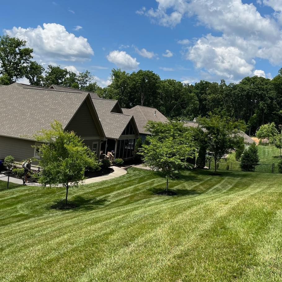 Green lawn with freshly mowed stripes slopes down toward a house with trees under a blue sky.